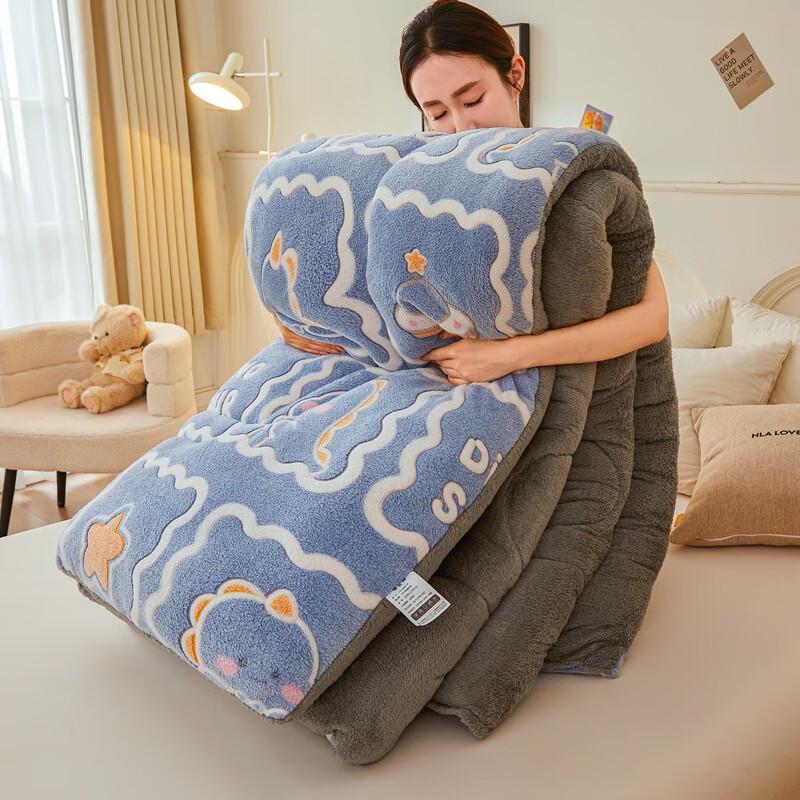 Yuanzhiwei Double-Sided Milk Velvet Warm Quilt
