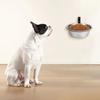 Foldable Hanging Pet Bowl 6/8inch Pet Feeder Container Universal Cat Food Water Bowl  Home