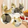 Декоративная коллекционная статуэтка белки, Предмет для хранения, Скульптура животного для новоселья, Шкафа,