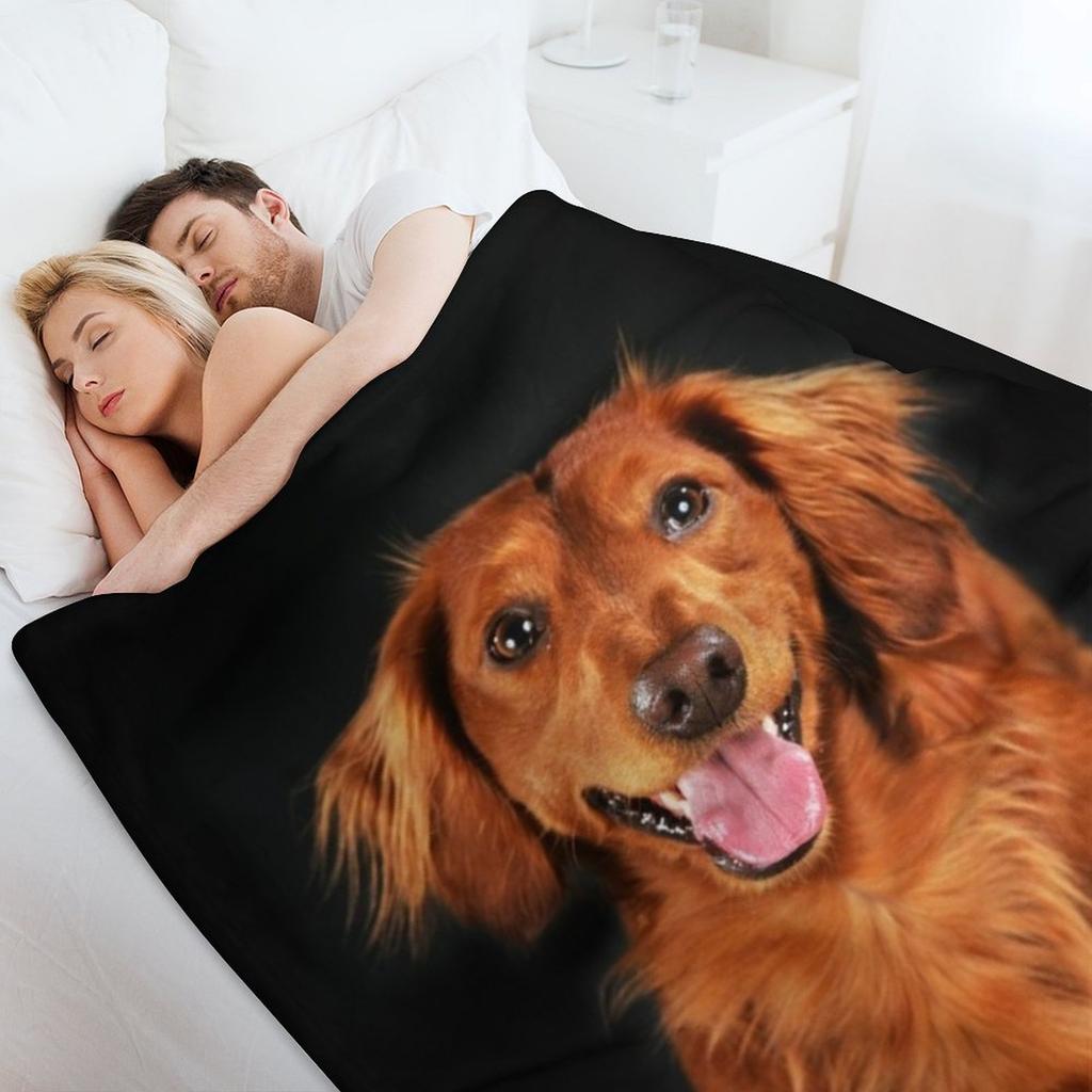 Такса длинношерстная, такса выглядит смешно Плед для пикника Роскошный Утолщенный для дивана-кровати Одеяла Диваны Декоративные Одеяла