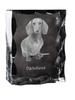 Dachshund - crystal with a picture of a dog, glass statuette with a picture, unique frame with a picture from Art-Dog brand