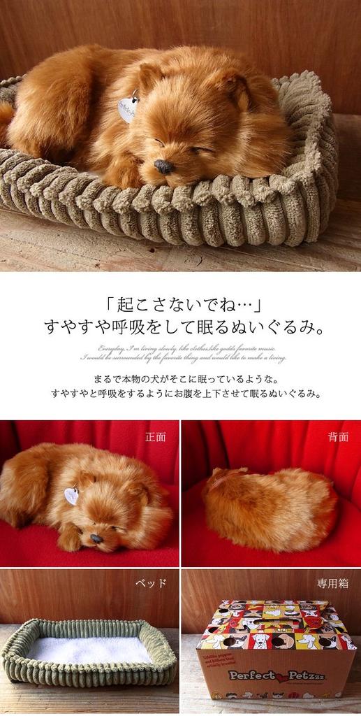 Ninian and Kino Perfect Pet Pomeranian Stuffed Animal Dog Realistic Goods Animal Healing Moving Present Gift Celebration Cute Dog Stuffed Animal