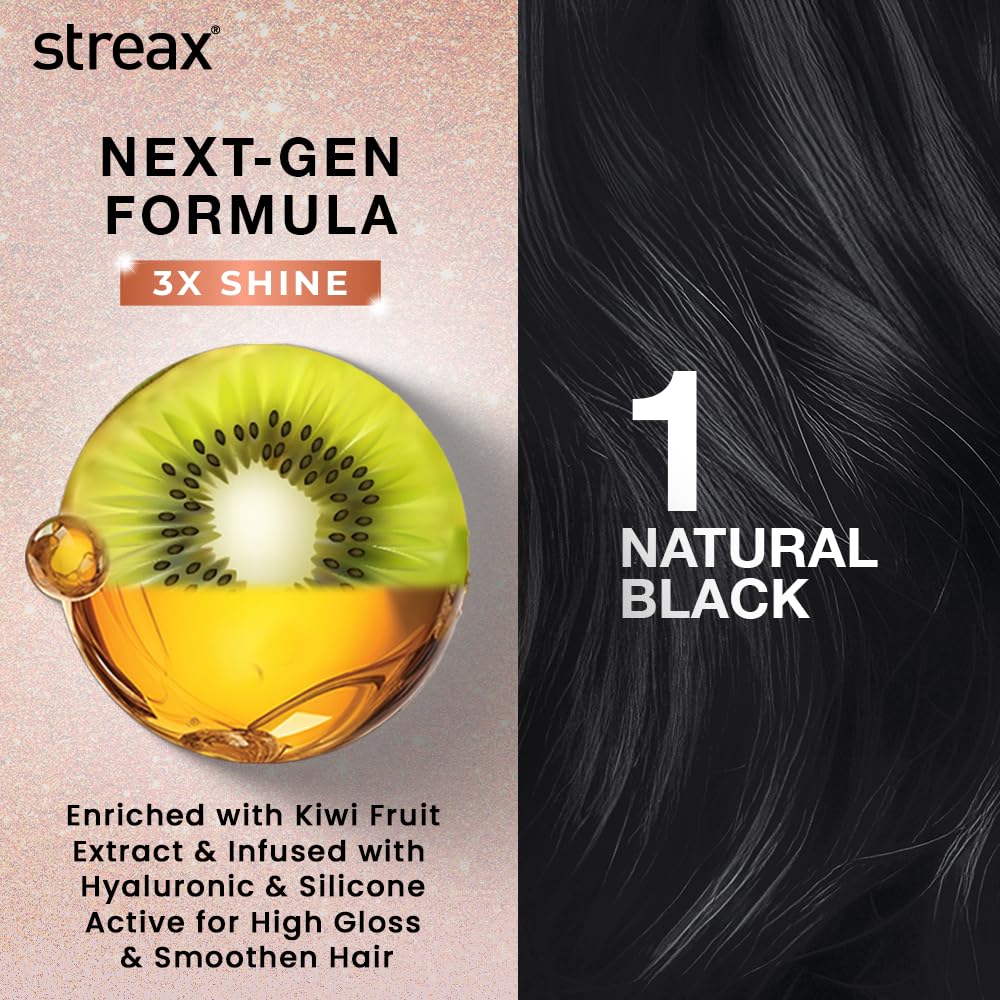 Streax Gel Hair Colour Natural Black 1 Ammonia Free Permanent Hair Dye for Women & Men 150 ml Pack of 2 Long Shine