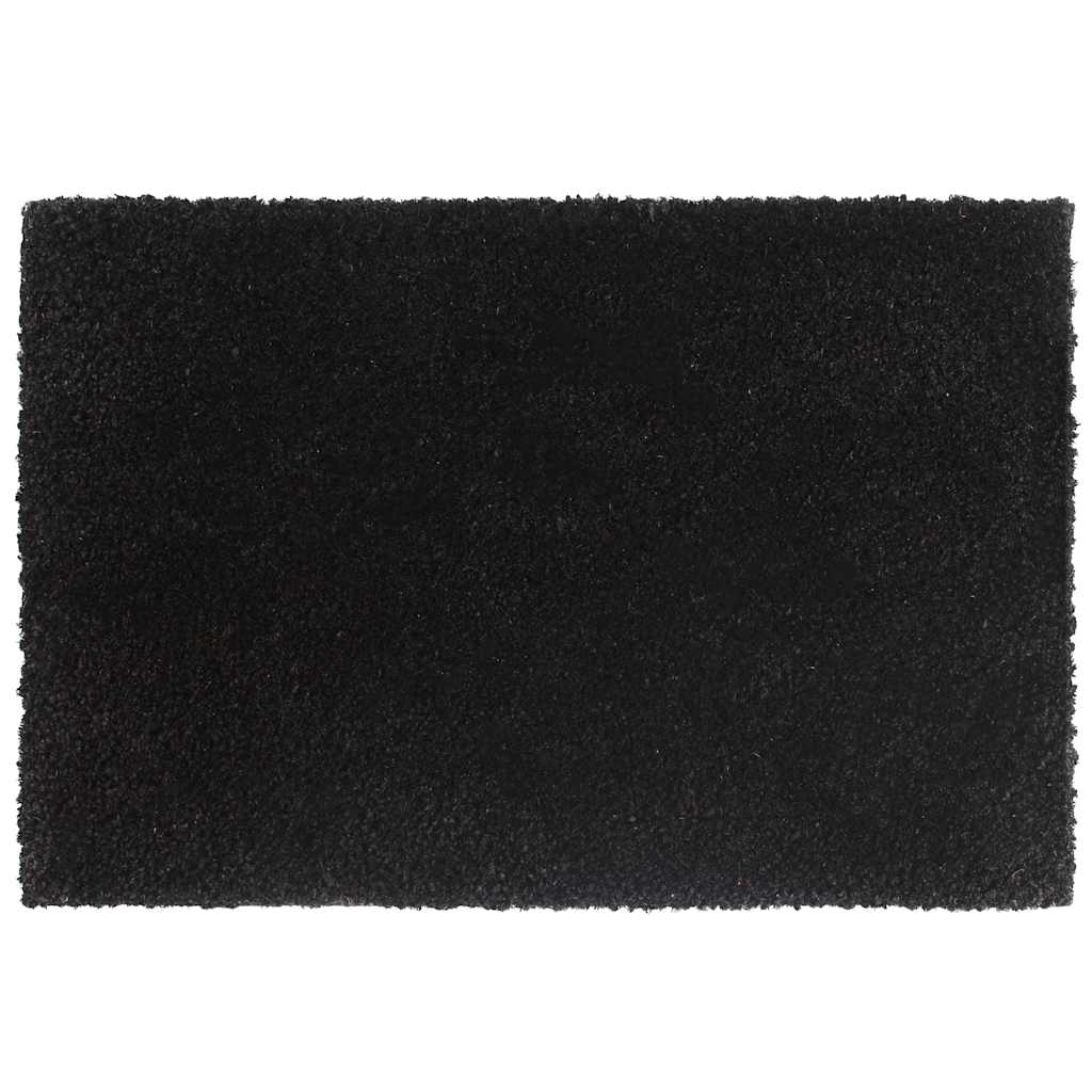 Doormats 2 pcs. Black 40x60 cm Coir Fiber Tufted