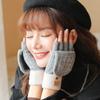 1 Pair Of Women's Gloves Warm Windproof Outdoor Alpaca Fleece Knitted Fingerless Gloves