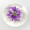 1-10pcs Artificial Red Spider Lily Silk Fabric Flower Heads Paramita Lycoris Radiata Mandala Manjusaka Silk Flowers Home Decor