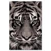 Les Trésors De Lily [A3410] - Gray 'Tiger' Photo Canvas - 90x60 Cm