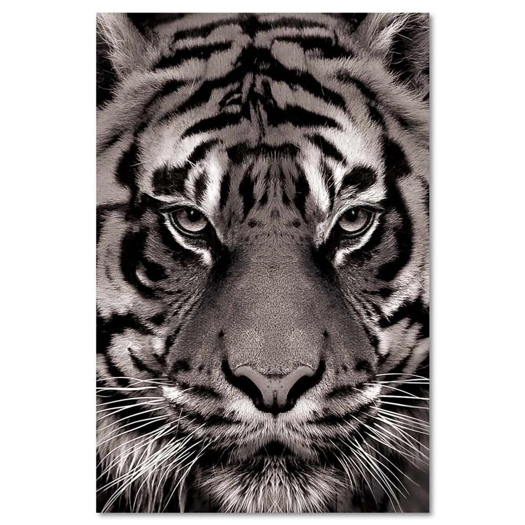 Les Trésors De Lily [A3410] - Gray 'Tiger' Photo Canvas - 90x60 Cm