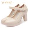 Female and Female Students Spring and Summer Leather Comfortable High-heeled Dress Shoes Mary Jones Ladies