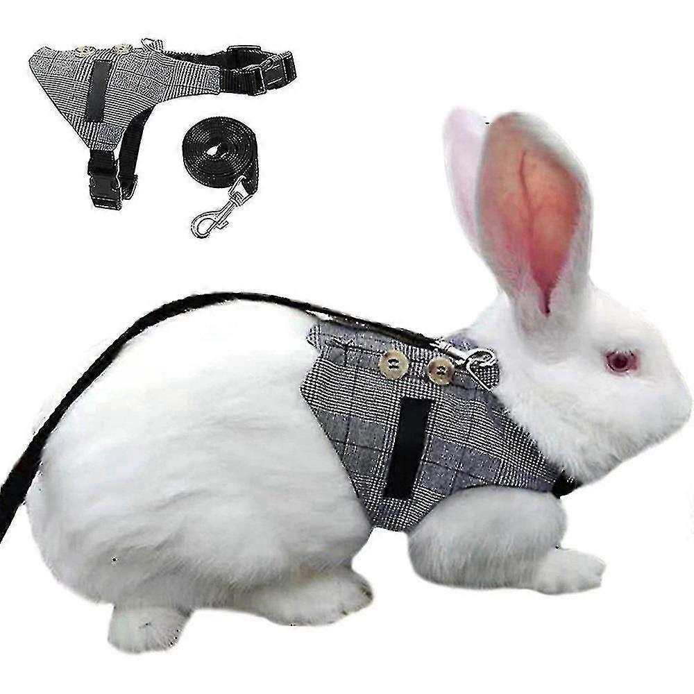Rabbit Vest Harness And Leash Set Adjustable Compatiblemal Compatible Style Compatible Bunny Kitten Small Animal Walking_Gift Of G