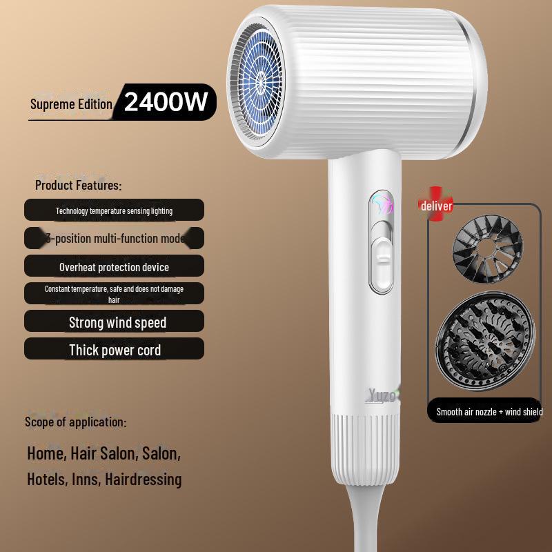 Высокоскоростной фен с синим светом и технологией отрицательных ионов - Без повреждений и мощный для домашнего и гостиничного использования