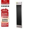 Gang Nian Smart Radiant Wall Heater