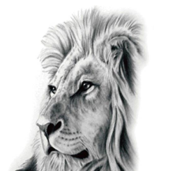 Прохладный Тигр Лев Дракон Рука Плечо Водонепроницаемая Временная Поддельная Татуировка Наклейка