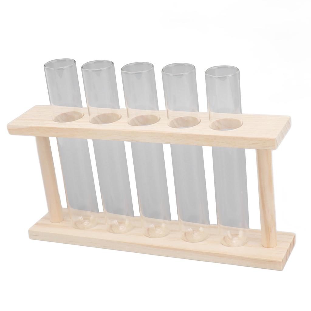 5 пробирок террариум для растений прозрачный наблюдение за ростом состояние террариум для растений с деревянной подставкой