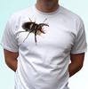 Белый детский мужской T-shirt Жук животное топ дизайн насекомого s s детские размеры для малышей