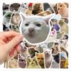 50 Funny Funny Cat Waterproof Doodle Decorative Reusable Stickers For Birthday Christmas Gifts