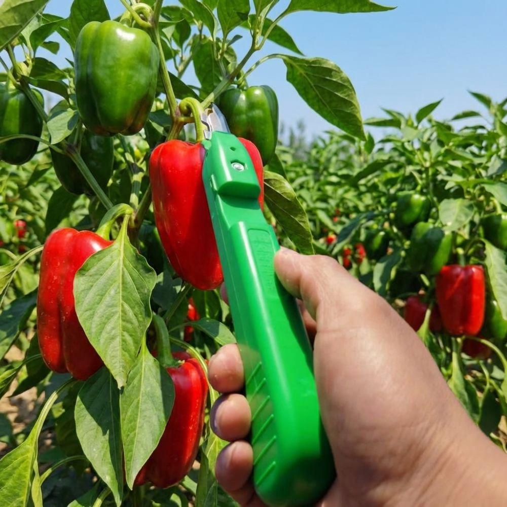 Handheld Berry Picking Tool Ergonomic Garden Fruit Trimmer Fruit Harvesting Shears Gardening