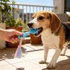 Indoor Outdoor Interactive Toys Pet Molar Teeth Cleaning Fork Toy, Durable Woven Rope Training Macaron for Dogs Colors TPR Chew Toy Gum Massage