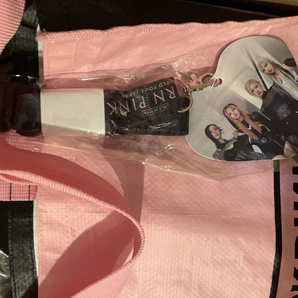 [USED] BLACKPINK BORN PINK Premium Seat Cushion and Bag