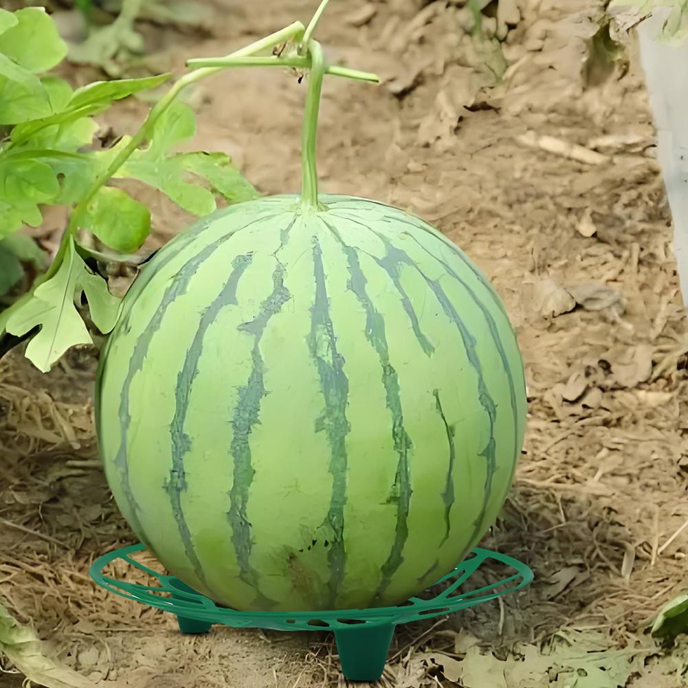 5/10 шт. Подставка для арбуза, антикоррозионная, подставка для тыквы, держатель для арбуза, арбуза, тыквы, дыни, кабачка