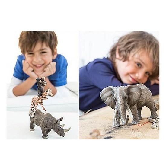 Schleich Wild Life Starter Figure Set SL01272, Popular Toys In Korea