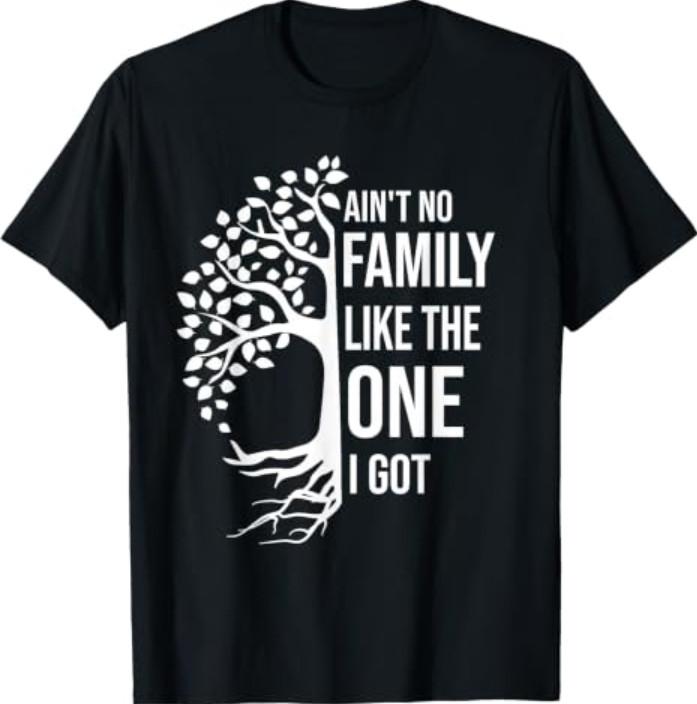 Ain't No Family Like The One I Got Funny Family Reunion 2025 T-Shirt Tee