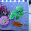 New Double Layer Fish Tank Aquarium Artificial Leaf Betta Fish Rest Spawning Ornamental Plant Betta Fish Play Relax Hide Leaf