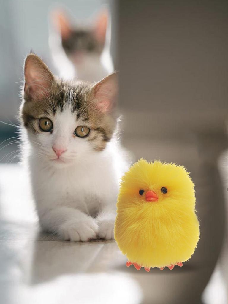 1pc-Cute Yellow Duck Plush Doll - Small Cat and Dog Toys, Chewing Toys, Grinding Toys