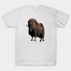 T Shirt Women The Muskox Harajuku Print Kawaii Tshirt Summer Short Sleeve Female T-Shirt Top Tee