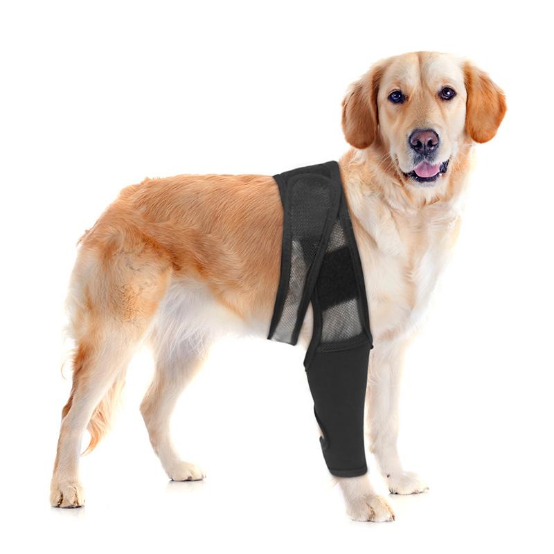 Наколенники для домашних животных, поддерживающий бандаж для собак, дышащий, травма, восстановление, повязка для ног, поддержка связок, уход за травмами, повязка для собак, товары для домашних животных