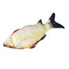 Fish Pet Chewing Toy Bite Resistant Teeth Grinding Cat Catnip Toy Interactive Anxiety Reduction Soft Plush Cat Toy for