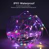 5M 10M 20M Christmas Tree RGBIC Lights Smart Bluetooth Control USB LED String Lamp Outdoor App Remote Control Garland Fairy Lights Decoration