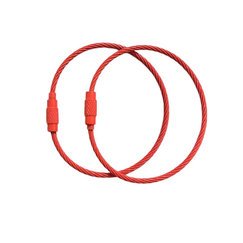 10 шт. Разноцветный тросик из нержавеющей стали для ключей, 6 дюймов, 1,5 мм, петля из нержавеющей стали, брелоки разных цветов, бирки для ID