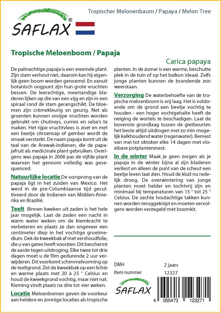 SAFLAX Дынное дерево - 30 семян - Carica papaya
