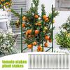 12/24Pcs Stake Arms for Garden Tomato Cage Plant Growth Aid Plant Stem Support Stand