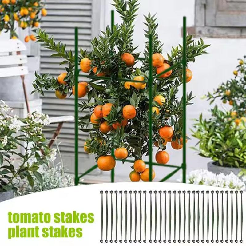 12/24Pcs Stake Arms for Garden Tomato Cage Plant Growth Aid Plant Stem Support Stand