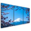 Three Piece Picture Canvas Print Mount Fuji