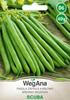 Фасоль карликовая зеленая Scuba Seeds 40г семена фасоли -