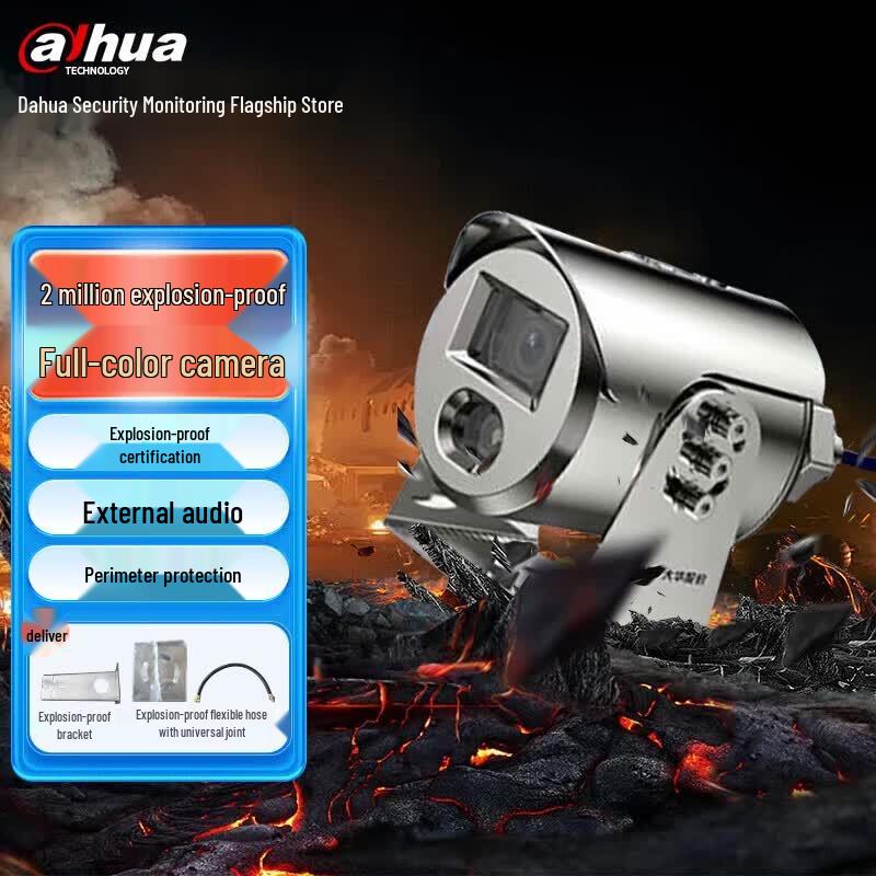 Dahua Industrial Explosion-Proof Network Surveillance Camera CN plug (adapter included)