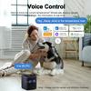 ZigBee Temperature And Humidity Sensor Smart Home Hygrometer Thermometer Works With Alexa Google Yandex Alice eWeLink Gateway