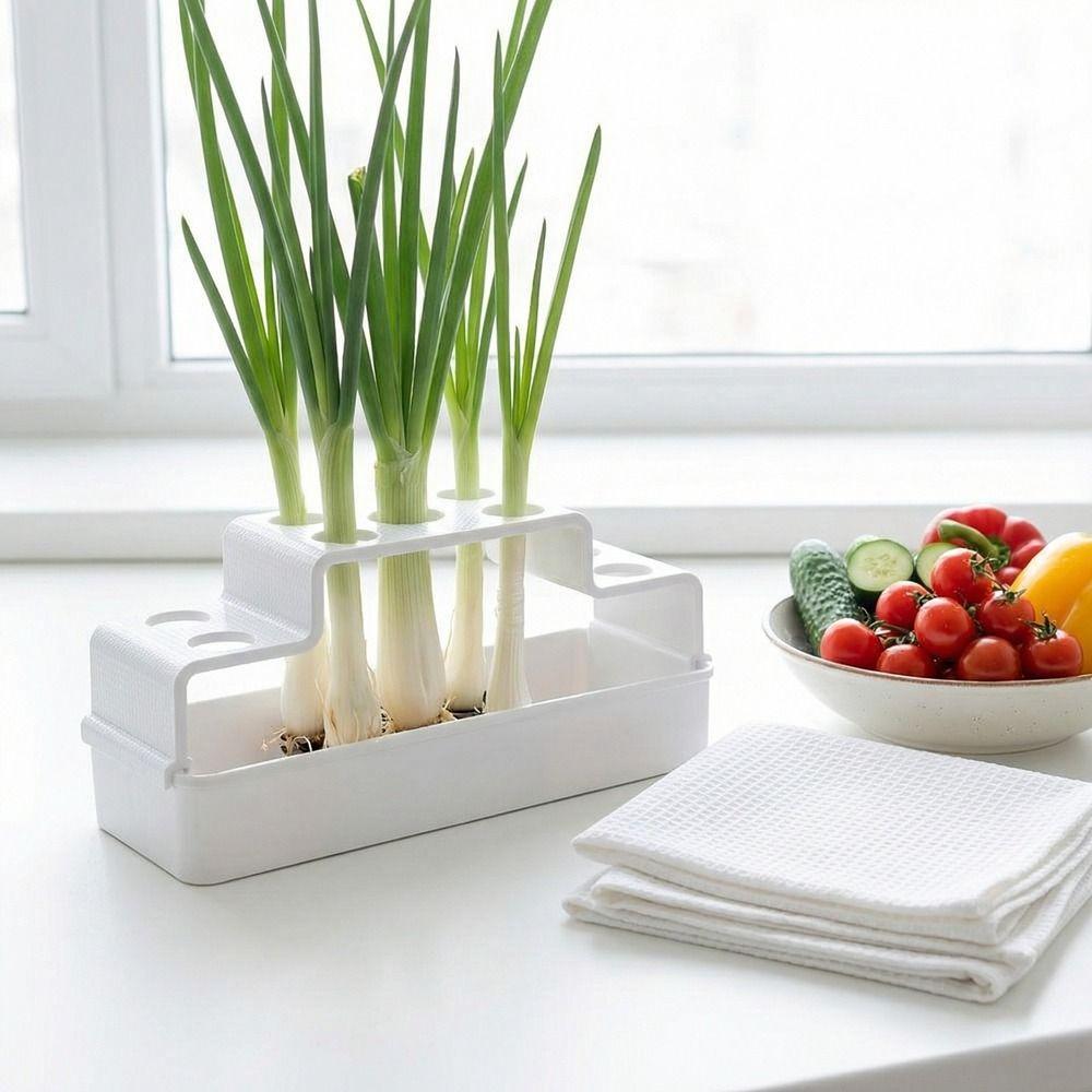 Plastic Hydroponic Vegetable Box Ventilated Growing Seedling Tray Balcony Garden