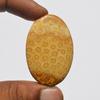 Natural Fossil Coral Gemstone Cabochon, Top Quality Indonesians Fossil Coral Cabochon Craft Supply 79 Carats Oval Shape, Jewelry Making