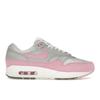 Женские кроссовки Air Max 1 87 Pink Rise Metallic-Platinum Flat-Pewter Summit-White HF5387-001