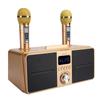 Family KTV High Quality Sound Kit Integrated Wireless Microphone Live Audio Card Bluetooth Karaoke