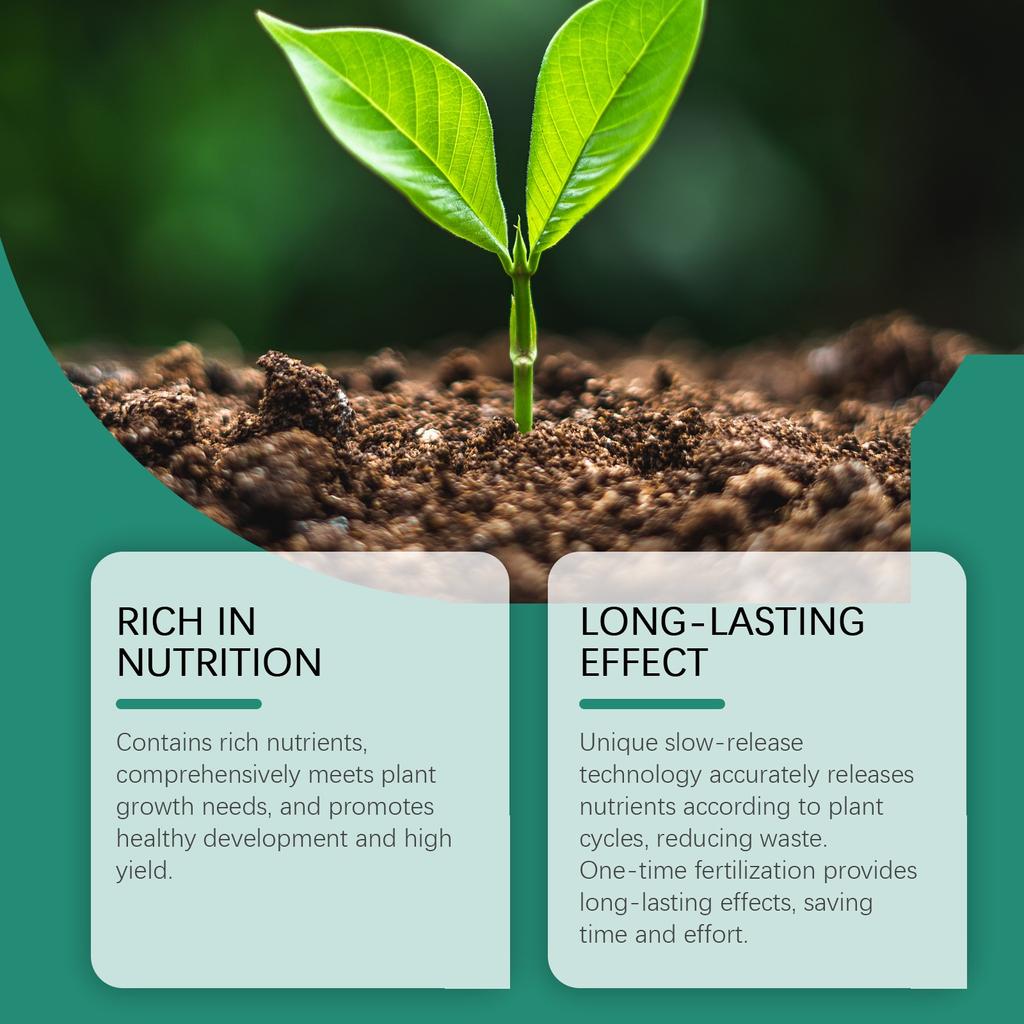 Plant Growth Fertilizer Sticks Slow Release Fertilizer Nutrition Seaweed Fertilizer Plant Growth Gardening Fertilizer Sticks