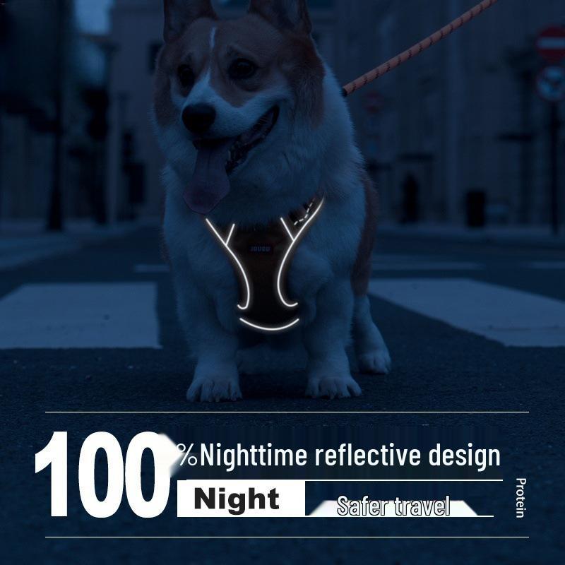 Набор шлейки и поводка для собаки породы корги - Жилет для собаки малого и среднего размера