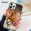 Коричневый Пегий Жеребец Мягкий Чехол для Телефона Для iPhone 17 Air 16 15 14 plus 12 13 pro max coque Fundas