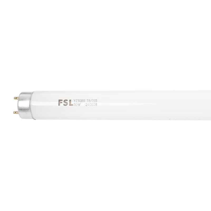 FSL T8 Fluorescent Tube Light