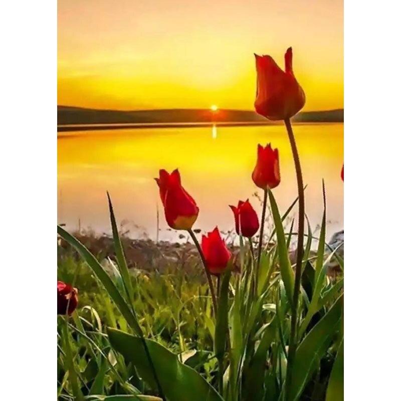 5D DIY алмазная живопись закат пейзаж Алмазная вышивка пейзаж вышивка крестом полная круглая дрель ремесла домашний декор подарок