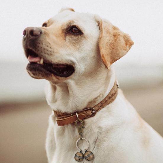 Колокольчик для ошейника для домашних животных, очень громкий колокольчик для отслеживания домашних животных, медные колокольчики с зажимом-лобстером, подвесное кольцо для домашних животных, аксессуары для кошек и собак